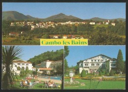 CAMBO LES BAINS Pays Basque Arnaga Demeurre D'Edmond Rostand Pyrénées-Atlantiques - Cambo-les-Bains