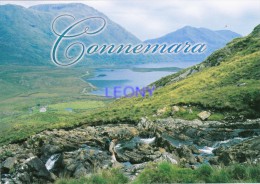 CPM D' IRLANDE - CONNEMARA CO. GALWAY - Galway