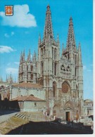 Delcampe - (AK139) BURGOS. LA CATEDRAL ... UNUSED - Burgos