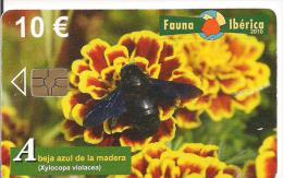 TARJETA FAUNA IBERICA ABEJA AZUL DE LA MADERA - Otros & Sin Clasificación