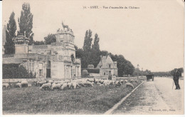 Anet Vue D'ensemble Du Château - Anet