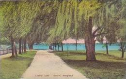 Maryland Oxford Lovers Lane Handcolored Albertype - Other & Unclassified