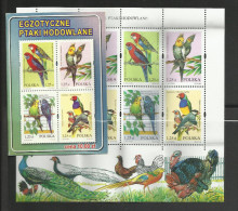 Carnet Booklet Markenheftchen Pologne Polen Poland 246 Oiseaux Perroquets Perruches Parrot Papagei Papagayo - Postzegelboekjes