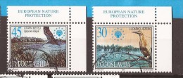 2001  3034-35  EUROPA WWF   JUGOSLAVIJA JUGOSLAWIEN JUGOSLAVIA EUROPA BIRDS  PROTECTION NATURE  USED - Used Stamps