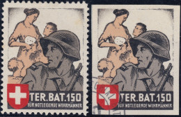 Schweiz Soldatenmarken Territorial Truppen  Ter.Bat.150 - Viñetas