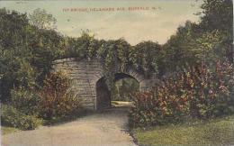 New York Buffalo Ivy Bridge Delaware Avenue 1907 - Buffalo