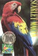 AUSTRALIA FDC MAXICARD MACAW PARROT BIRD 1 STAMP OF 45c VALID FOR POSTAGE WORLD ISSUED 28-09-1994 CTO READ DESCRIPTION!! - Covers & Documents