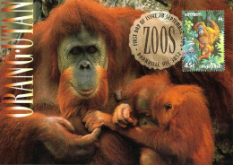 AUSTRALIA FDC MAXICARD ORANG UTAN ANIMAL 1 STAMP OF 45c VALID FOR POSTAGE WORLD ISSUED 28-09-1994 CTO READ DESCRIPTION!! - Covers & Documents