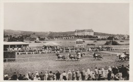 VITTEL (Vosges) - Le Champ De Courses - Très Animée - Contrexeville