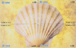 PUZZLE De 4 Télécartes Chine - COQUILLAGE / Coquille Saint-Jacques - SHELL Phonecards - MUSCHEL Telefonkarten - 506 - Puzzle