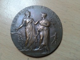 MEDAILLE DU XIX E DE A.DUBOIS - Professionals/Firms