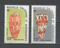 Nlle CALEDONIE 1985 N° 498/499 ** Neufs = MNH Superbes Cote 4.20 € Coquillages Shells Faune Marine - Nuovi