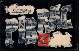 BELLE CARTE * SOUVENIR DE PIBRAC * Expédiée 1907 - Pibrac