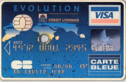 PLAQUE PUBLICITAIRE CARTON/PLASTIQUE  VISA CARTE BLEUE Crédit Lyonnais - Pappschilder