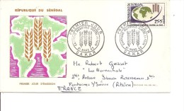 Contre La Faim ( FDC Du Sénégal De 1963 Voyagé Vers La France à Voir) - Contre La Faim