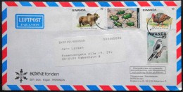 Rwanda Air Mail Cover Children's Foundation  Sent To Denmark  ( Lot 3667 ) - Otros & Sin Clasificación