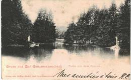 Allemagne -  Bad Schwalbach / Langenschwalbach Paertiz Aus Dem Kurpark - Bad Schwalbach