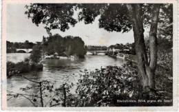 Suisse - Rheinfelden Blick Gegen Die Insel - Rheinfelden