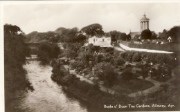 ALLOWAY AYR. Banks O´ Doon Tea Gardens  - 2 Scans - Ayrshire