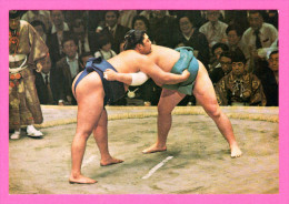 Sumo - National Sports Of Japan -  P.C.113 - Martial