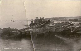 CROCODILE ROCK  - MILLPORT - ISLE OF CUMBRAE - AYRSHIRE - The Postcard Is Damaged - See Scan - Ayrshire