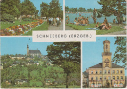 AK Schneeberg Erzgebirge Filzteich Blick Kirche Rathaus Bei Aue Schwarzenberg Lauter Zschorlau Schlema Kirchberg Zwönitz - Schneeberg