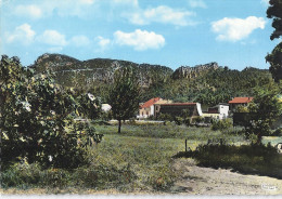 LA ROQUEBRUSSANE VIEUX MOULIN A HUILE-  AU FOND LA LOUBE   CPSM - La Roquebrussanne