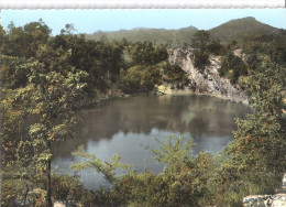 LA ROQUEBRUSSANE    LE GRAND LAC LAOUTIEN      CPSM - La Roquebrussanne