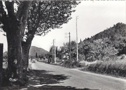 LA ROQUEBRUSSANE   SORTIE DU VILLAGE -ROUTE DE BRIGNOLES    CPSM - La Roquebrussanne