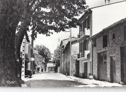 LA ROQUEBRUSSANE   L'ENTREE DU VILLAGE  -LA ROUTE DE TOULON   CPSM - La Roquebrussanne