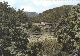 LA ROQUEBRUSSANE    PANORAMA SUR LA TROUEE DE MAZAUGUES   CPSM - La Roquebrussanne