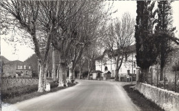 LA ROQUEBRUSSANE    L'ENTREE DU VILLAGE  CPSM  PF - La Roquebrussanne