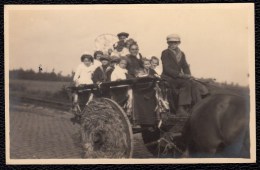 CARTE PHOTO TIRAGE ARGENTIQUE - PARADE PROCESSION  FOLKLORIQUE AU LIMBOURG - ( Belgique ) Nr 4 - Other & Unclassified