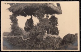 CARTE PHOTO TIRAGE ARGENTIQUE - PARADE PROCESSION  FOLKLORIQUE AU LIMBOURG - ( Belgique ) Nr 6 - Altri & Non Classificati