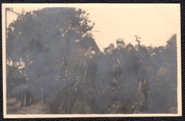 CARTE PHOTO TIRAGE ARGENTIQUE - PARADE PROCESSION  FOLKLORIQUE AU LIMBOURG - ( Belgique ) Nr 7 - Andere & Zonder Classificatie