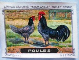 Delcampe - IMAGE Chocolat Peter Cailler Kohler Nestlé POULE POULES N 7 ANDALOUS BLEUS - Nestlé