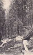 GERARDMER  A La Cascade De Merelle - Fresse Sur Moselle