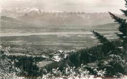 01 - GEX Au Col De La Faucille - Panorama Du Lac Léman Et Du Mont Blanc - Gex