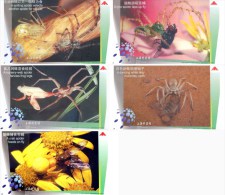 Spider Fly Moth Frog , Shanghai Science And Technology Museum Webspinnen Araneae , 5  Specimen Prepaid Cards - Araignées