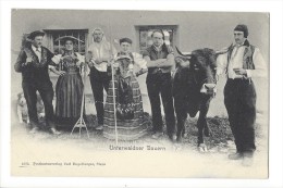 L1574 - Unterwaldner Bauern - Wald