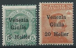 1918-19 VENEZIA GIULIA EFFIGIE 2 VALORI  MNH ** - ED739-3 - Vénétie Julienne