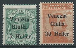 1918-19 VENEZIA GIULIA EFFIGIE 2 VALORI  MNH ** - ED739-4 - Vénétie Julienne