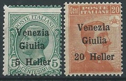 1918-19 VENEZIA GIULIA EFFIGIE 2 VALORI  MNH ** - ED740 - Venezia Giulia