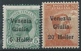 1918-19 VENEZIA GIULIA EFFIGIE 2 VALORI  MNH ** - ED740-3 - Vénétie Julienne