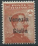 1918-19 VENEZIA GIULIA EFFIGIE 20 CENT MNH ** - ED734-2 - Vénétie Julienne