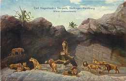 224035-Germany, Stellingen-Hamburg, Carl Hagenbeck´s Tierpark, Offene Lowenschlucht, Lions - Stellingen