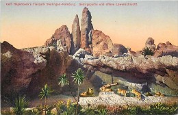 224037-Germany, Stellingen-Hamburg, Carl Hagenbeck´s Tierpark, Offene Lowenschlucht, Lions, No 105 - Stellingen