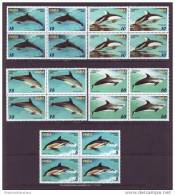 2004.141 CUBA 2004 DOLPHINS FISH DELFINES COMPLETE SET MNH BLOCK 4 - Nuovi