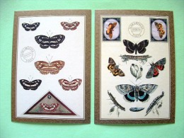 Two Postcards On Insects From USA - Insectos