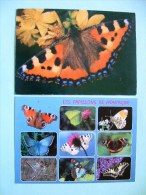 Two Postcards On Butterflies From France - Insectes